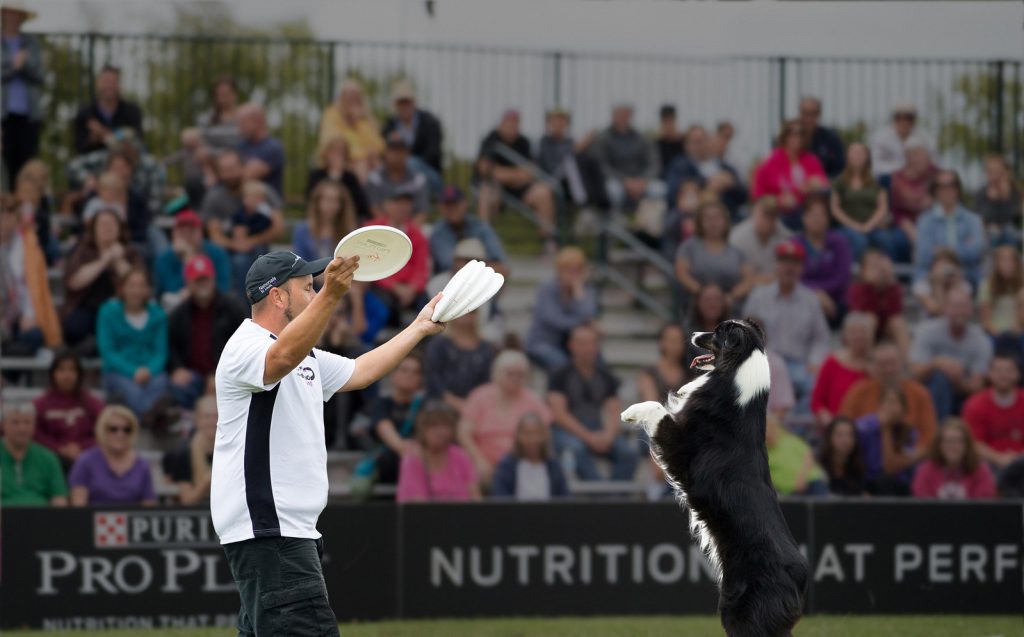 A dog and owner at a Purina Pro Plan Incredible Dog Challenge event.