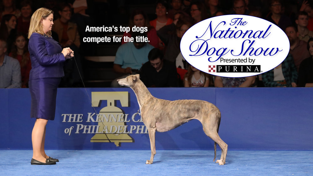 The National Dog Show Presented by Purina