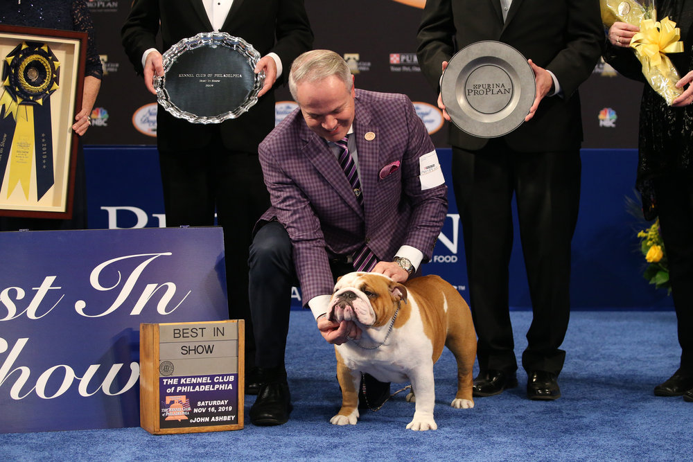 National Dog Show Presented By Purina, The 2019 CULTURE MIX
