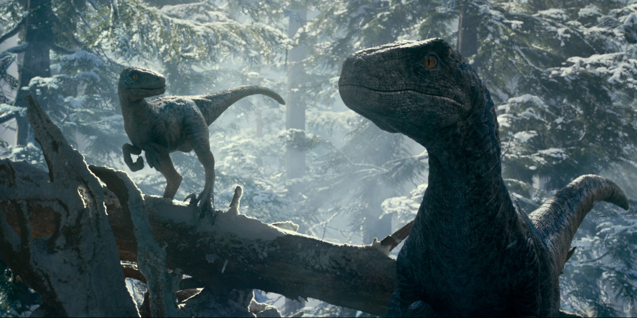 Review Jurassic World Dominion Starring Chris Pratt Bryce Dallas 